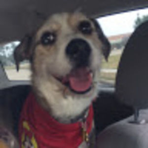 Meet your Posher, Ramona